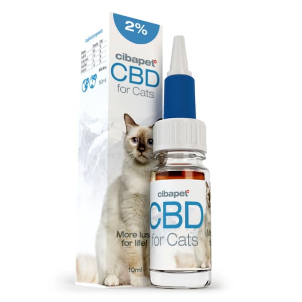 A container of CBD pastilles for dogs (3.2mg) with a cat next to it.
