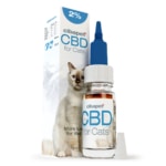 a cat sitting next to a bottle of CBD pastilles for dogs (3,2mg).