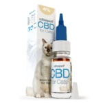 A bottle of CBD pastilles for dogs (3,2mg) next to a box of CBD pastilles for dogs (3,2mg).