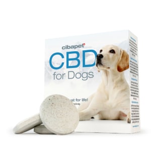 A package of CBD pastilles for dogs (3,2mg) with a dog laying next to it.