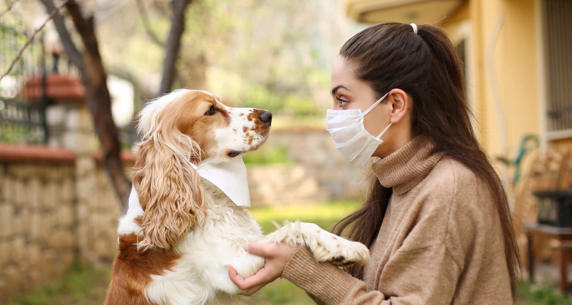 CBD for pets
