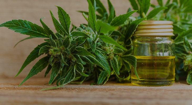 a bottle of cannabis oil next to a bunch of leaves.