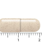 A Vitakruid – Ashwagandha KSM-66® & Bioperine® (60 vegan capsules) beige oval pill is shown beside a ruler, measuring approximately 2 centimeters long.