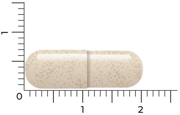 A Vitakruid – Ashwagandha KSM-66® & Bioperine® (60 vegan capsules) beige oval pill is shown beside a ruler, measuring approximately 2 centimeters long.