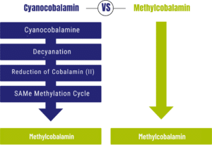 Diagram comparing forms of Vitamin B12: Left - Cyanocobalamin's conversion to Methylcobalamin, Right - direct Methylcobalamin. As in Vitakruid – Multi Day & Night® Mama (2 x 30 Tablets).
